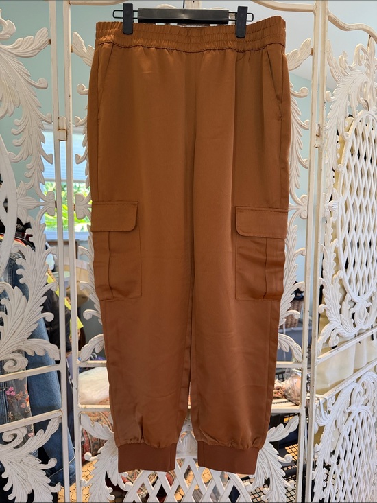 Banana Republic Pants - Banana Republic Woman’s  Cargo Jogger Pants in Rust